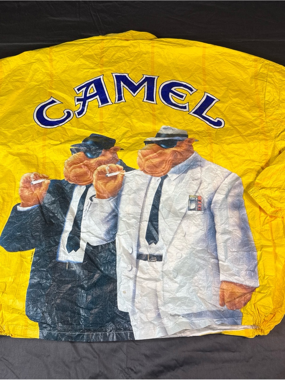 Camel Yellow Graphic Windbreaker Jacket - Men